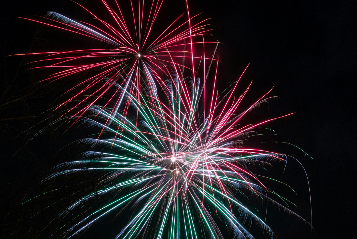 Pets and Fireworks Top Tips To Help Pets Scared of Fireworks