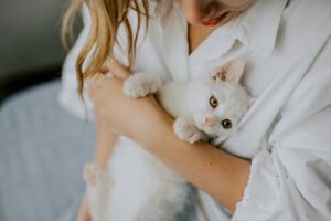 Is it Worth Getting a Pet Health Plan | Drake Vets