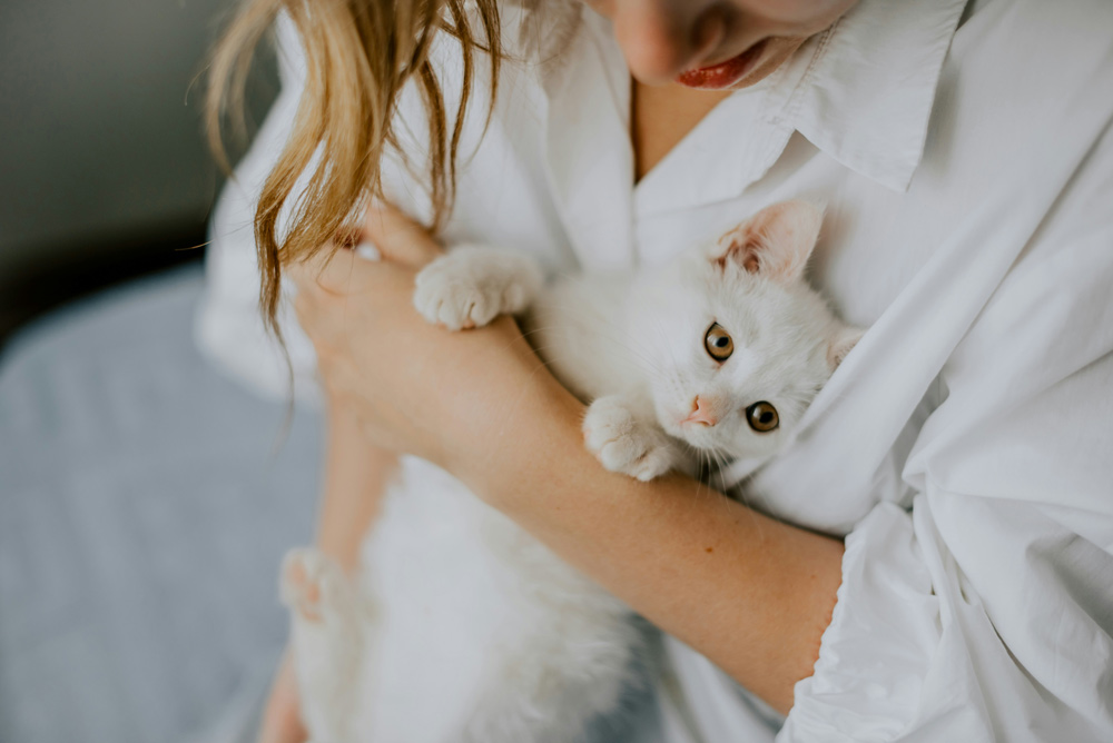 Is it Worth Getting a Pet Health Plan | Drake Vets