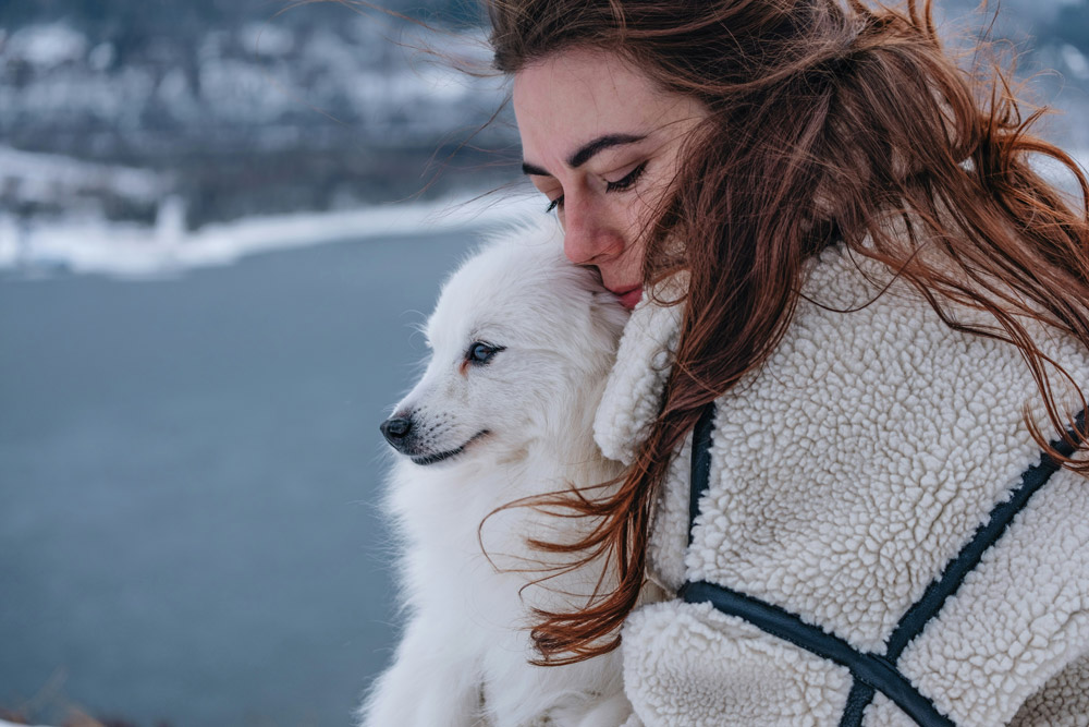 What are the signs of ill health in your pet | Drake Vets
